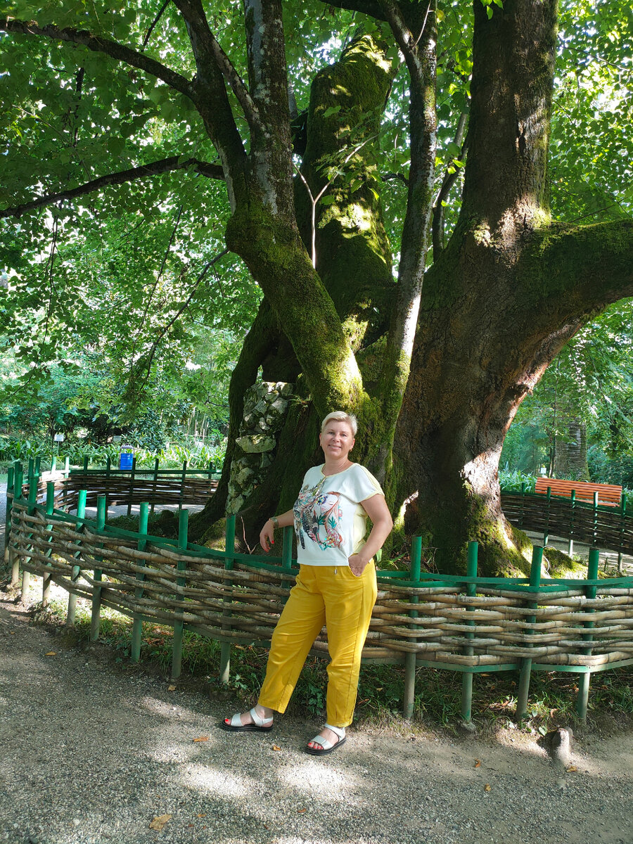 Ботанический сад Сухум