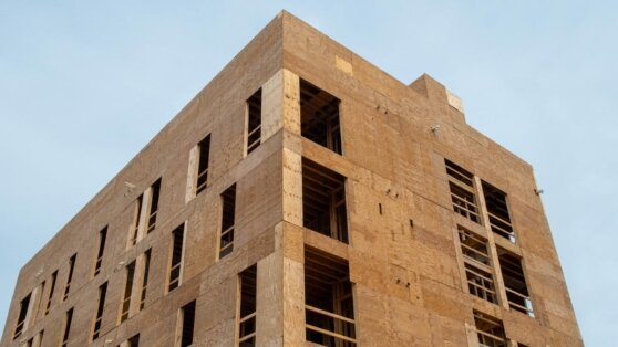    Справка "Профиля": высотное деревянное строительство Иван Обухов