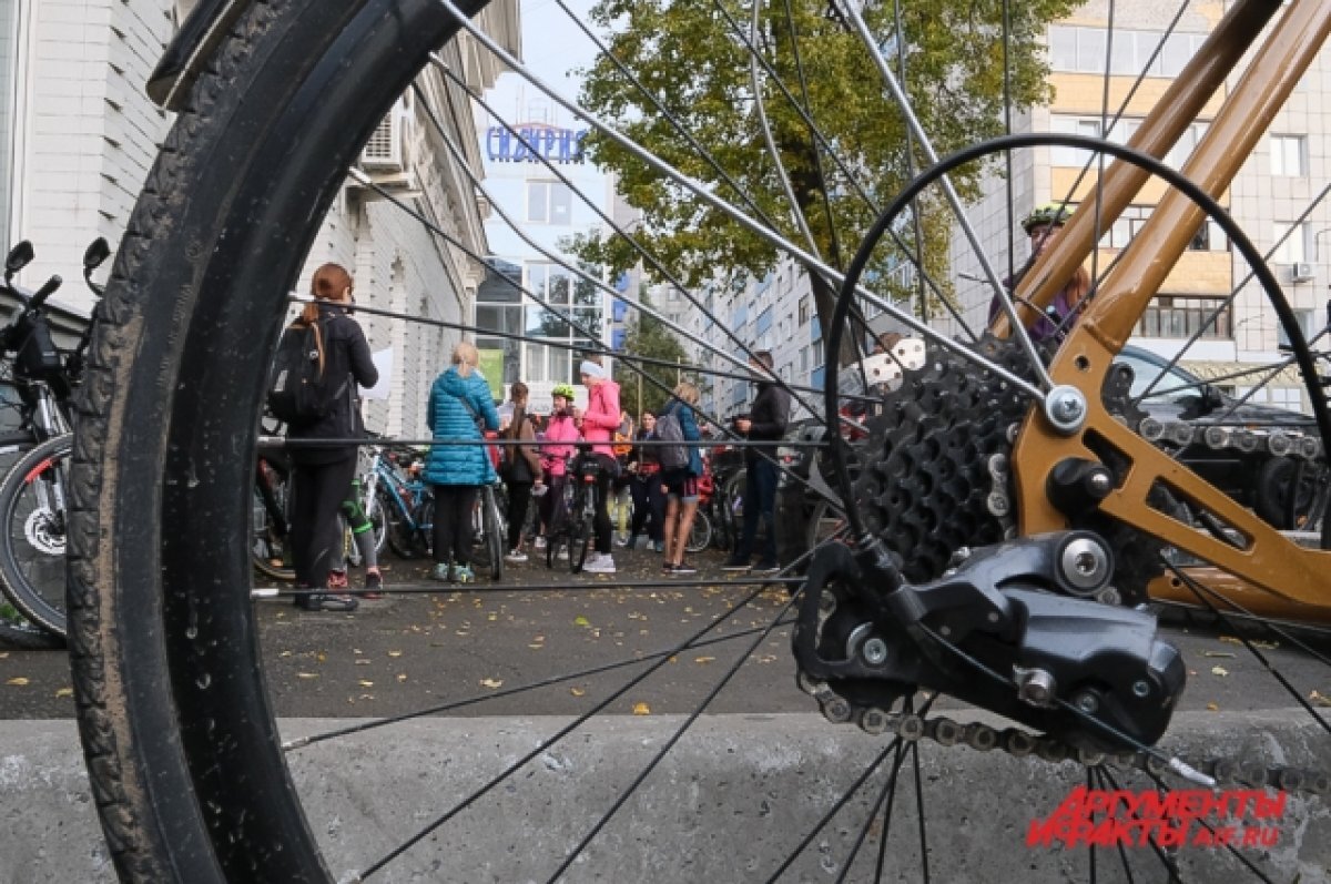    На некоторых улицах Петербурга временно ограничат движение транспорта