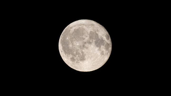 © EDGAR BRESHCHANOV/GLOBALLOOKPRESS 