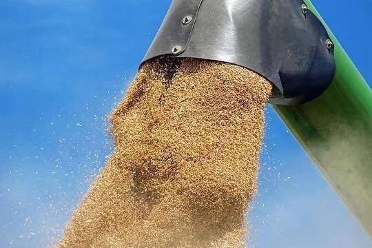    Глава МИД Турции Фидан обсудит с Лавровым зерновую сделку