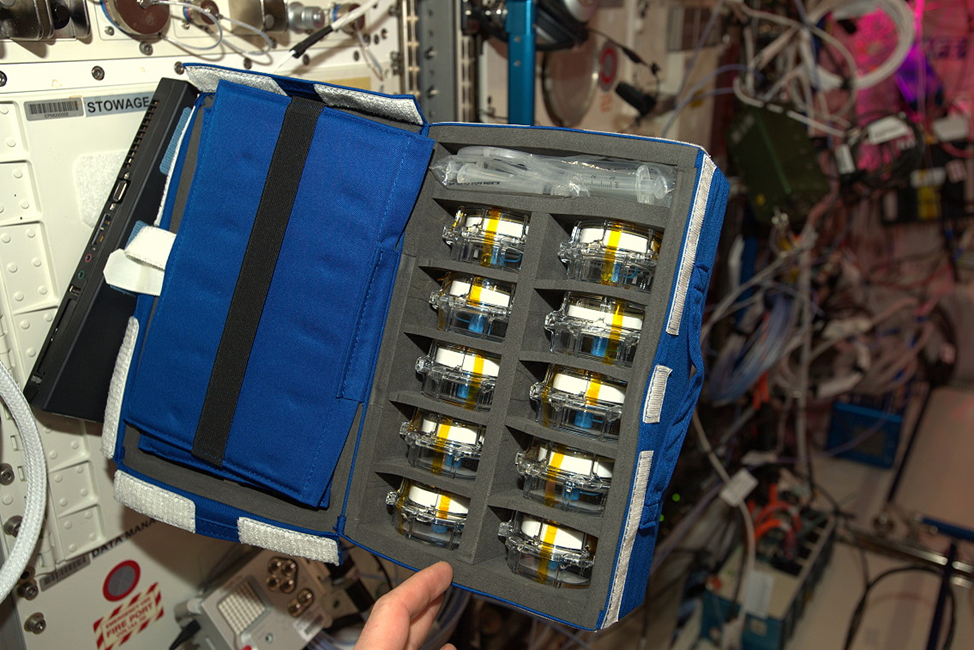 Смена тарифа мкс. ISS Battery.