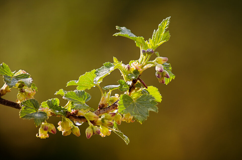 http://img-c.photosight.ru/105/5936335_large.jpg