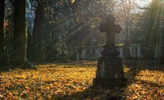  
Фото: pixabay.com