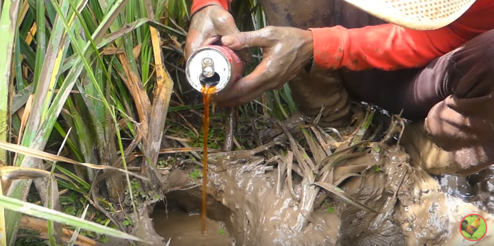 Рыбак заливает Кока-Колу в нору с рыбой