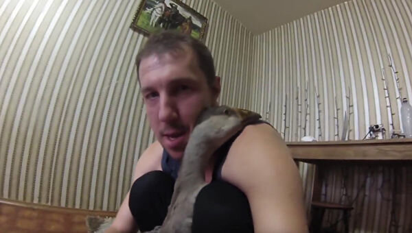 Я добью его