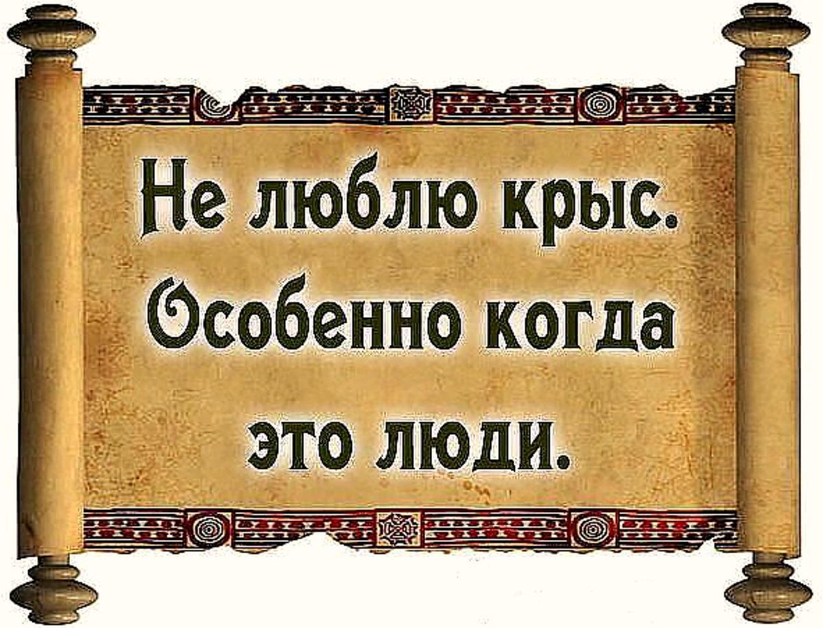 Как распознать крысу на работе и что в таком случае можно сделать. | Обо  всём понемножку | Дзен