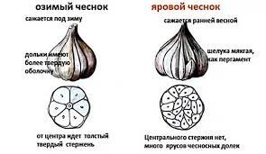 Фото загружено с сайта  https://vseprodachu.ru