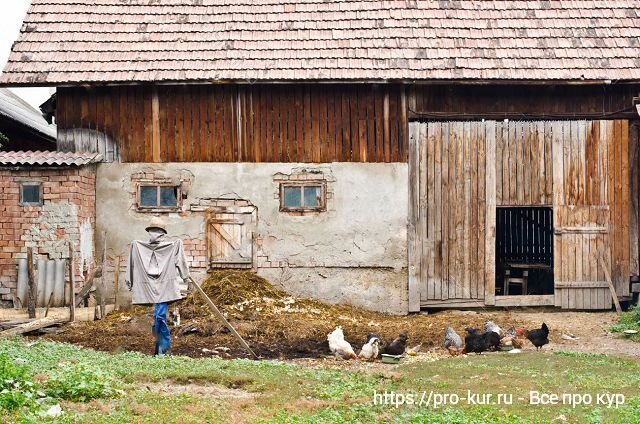 Каркасный сарай своими руками – инструкция к сборке + Фото и видео