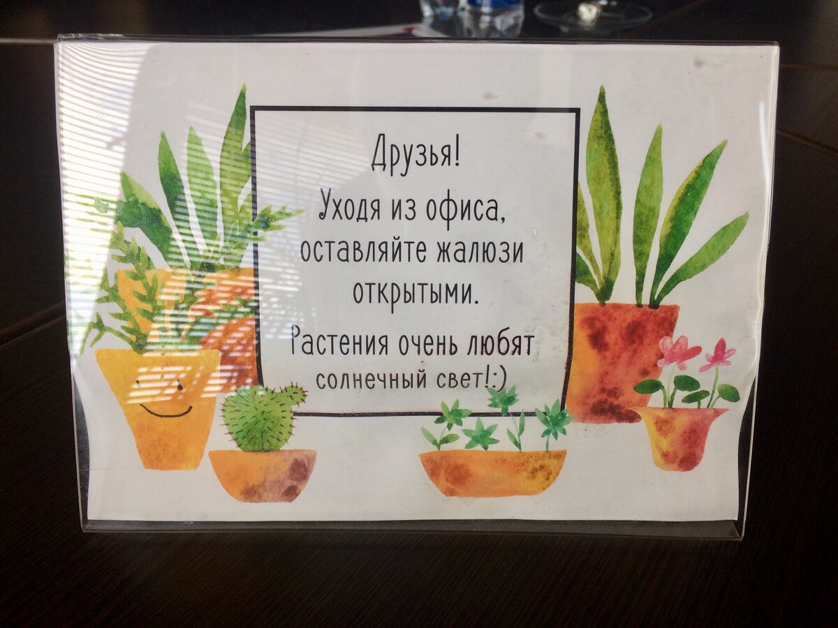 Всё здесь нравится - и рисунок под акварель, и начертание шрифта, и посыл