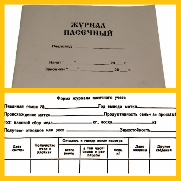 Когда-нибудь мы систематизируем свои наблюдения и будем вести настоящий пасечный журнал