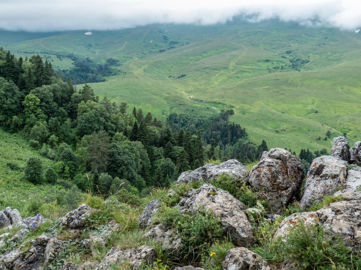 Плато заповедника Лагонаки