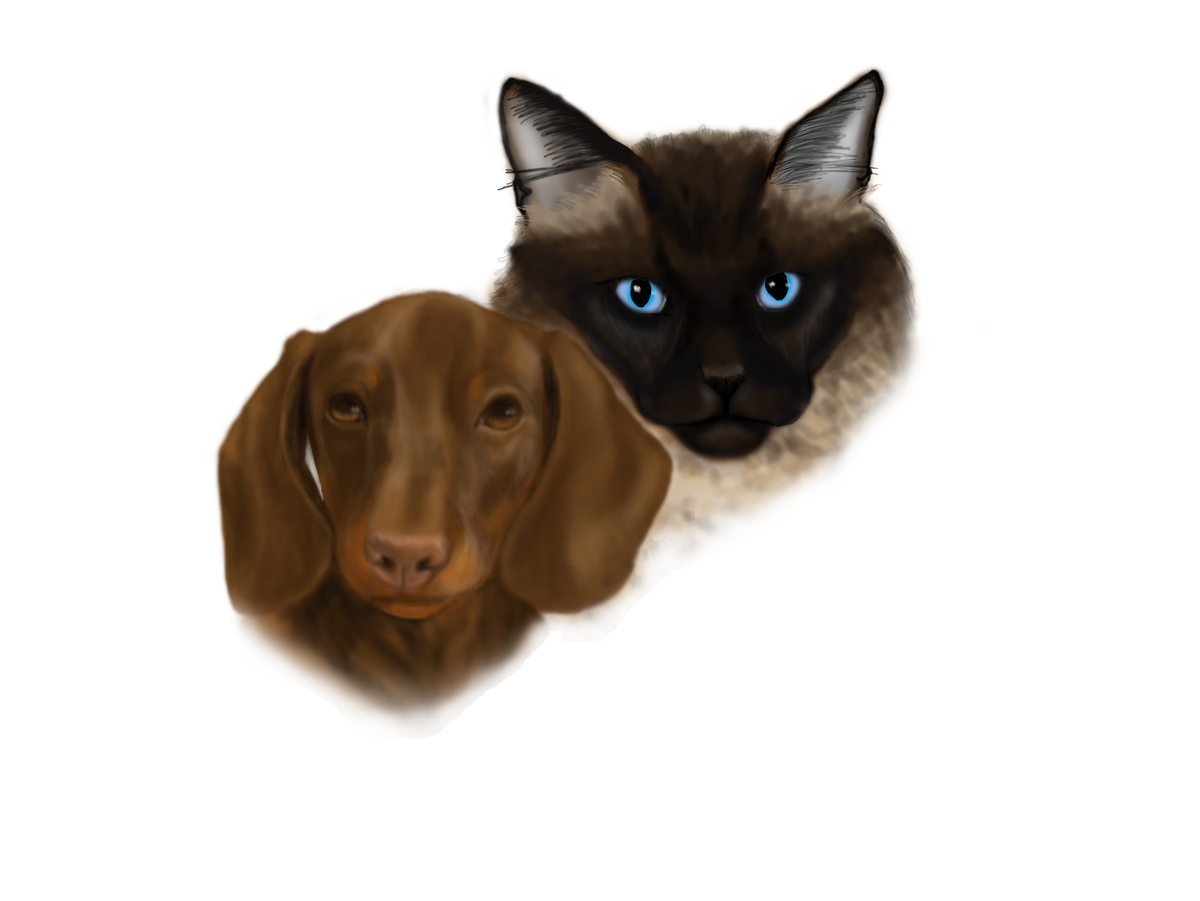 Мне больше не надо гоняться за "кармой", так что нарисовала я один раз иллюстрацию для обложки, и теперь это "лицо" повести.