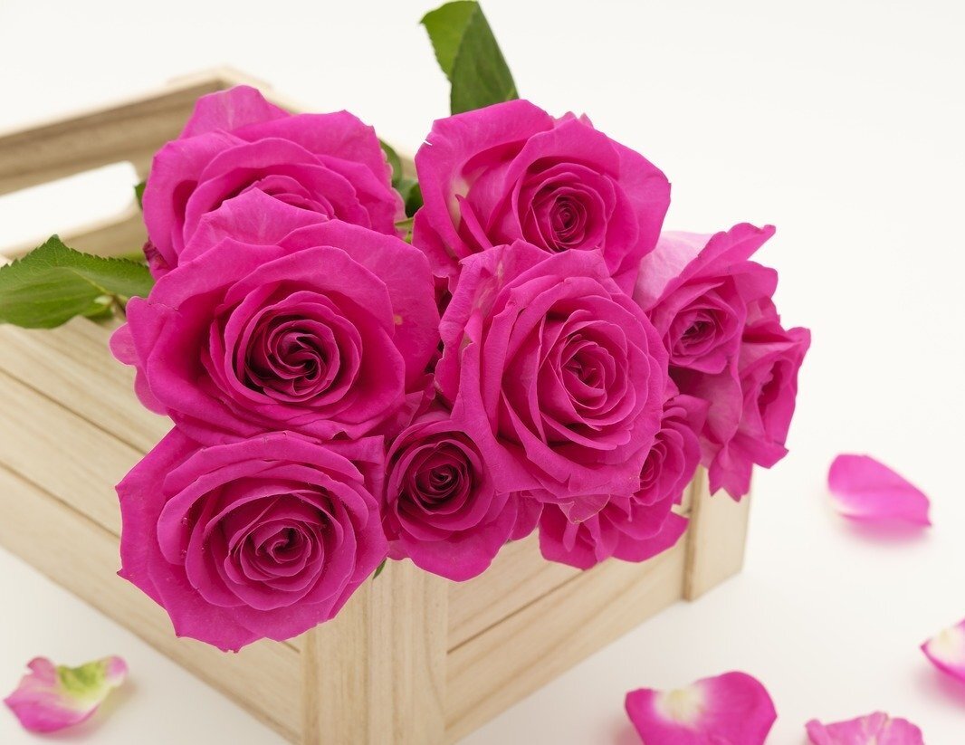 Фото: pixabay.com