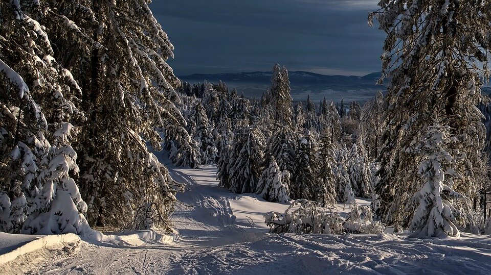 Источник: pixabay.com/