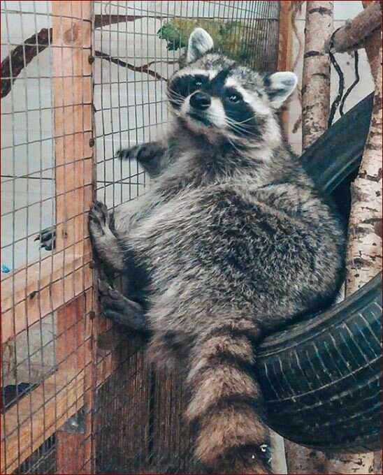 Источник: Instagram.com