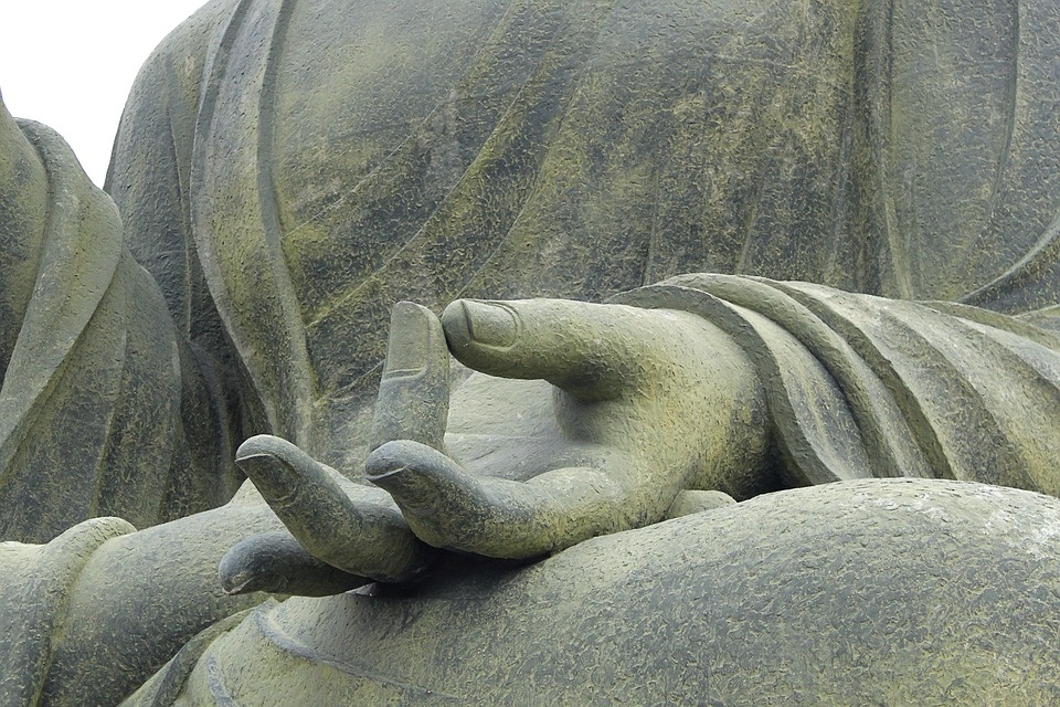 В публикации использовано фото с сайта https://pixabay.com/ru
