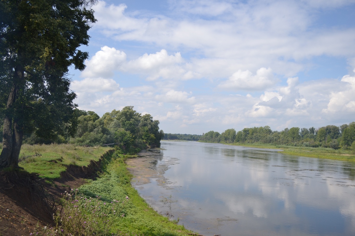 Сайфутдинов  Фидан 