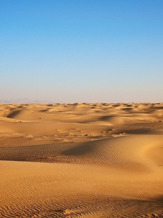 Фото - pxhere.com.