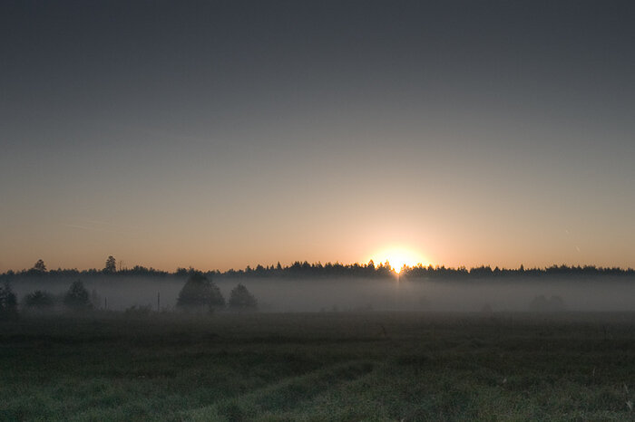 Река Цна. Туман. Фото Яндекс.