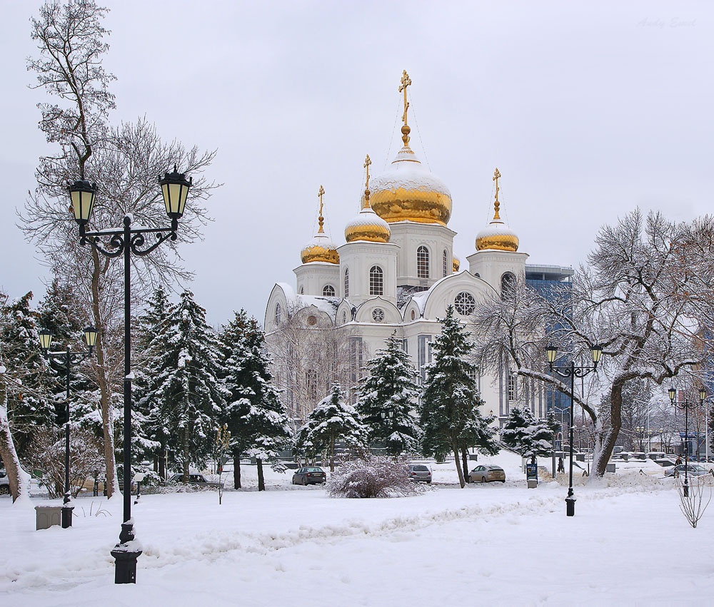 События февраля в Краснодаре