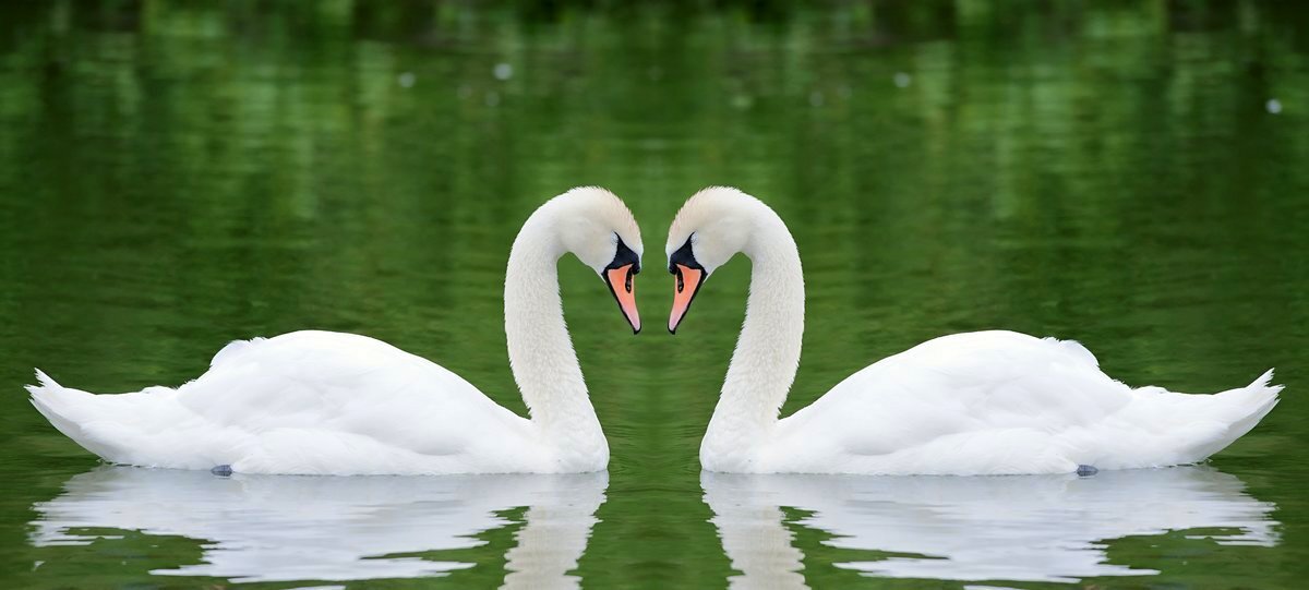 Из серии ХОТИТЕ ВЕРЬТЕ, ХОТИТЕ НЕТ. 