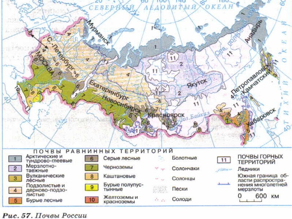 Почему размещение почв дальнего востока отличается от схемы зональности почв русской равнины