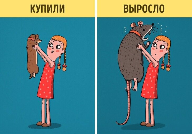 Картинка из интернета. 