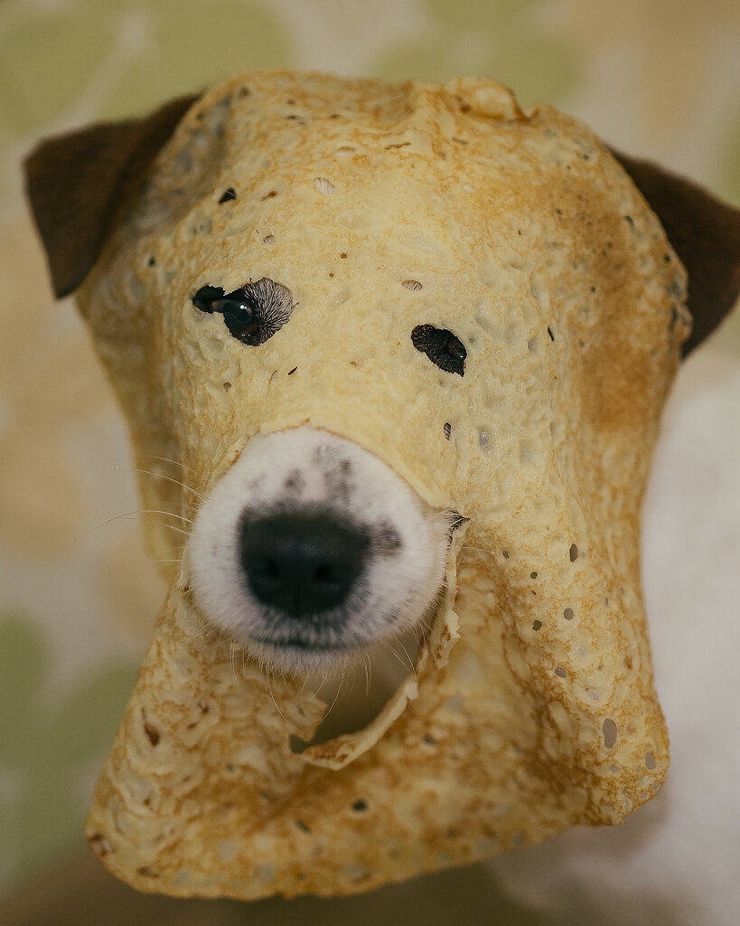 Когда на масленичную неделю тебе достались только дырки от блинов