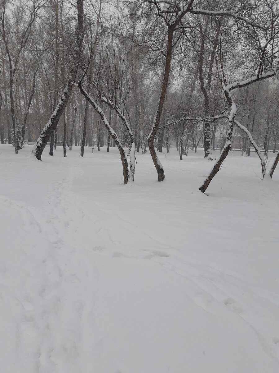 И парк возле дома.Здесь вчера дорожки были.