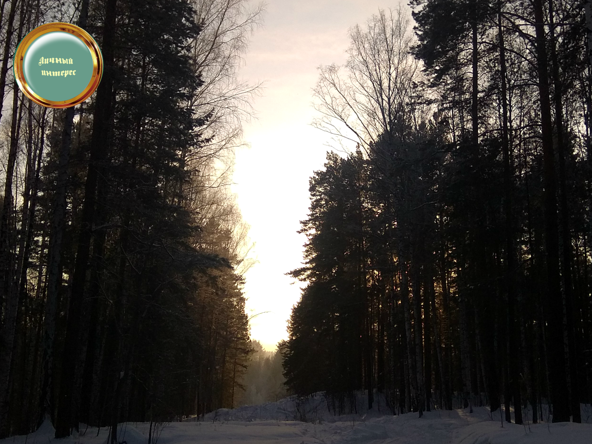 Нравится фотографировать: с чего начать | Личный интерес | Дзен