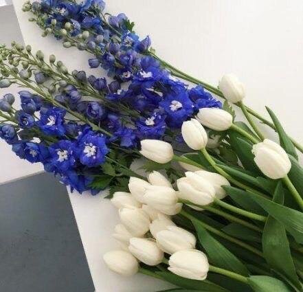 pinterest.com