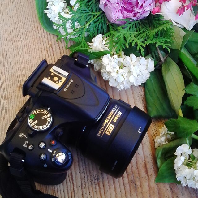 Воркшоп для фотографа это возможность отработать свои навыки и получить новые знания в процессе динамичной групповой работы, обменяться опытом