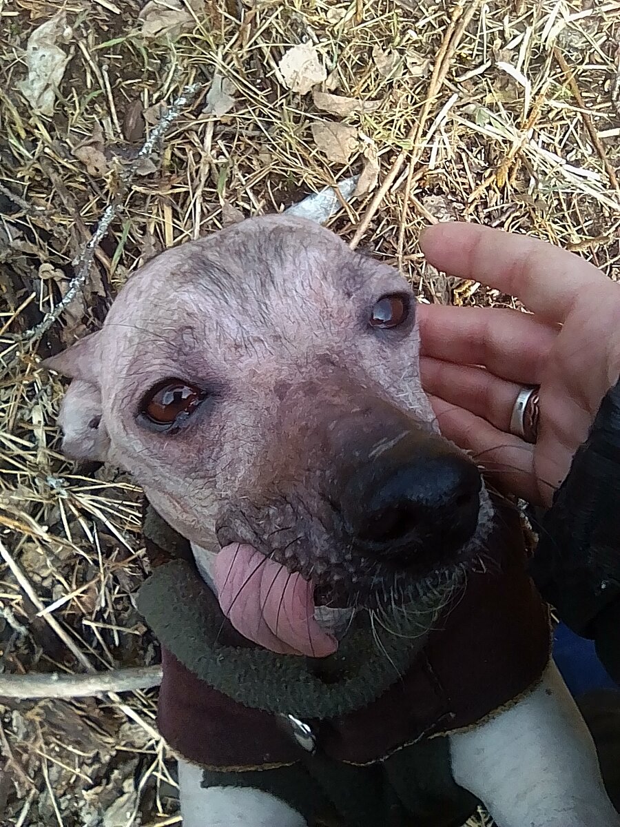 Маленький Мальчик с глазами цвета тёмного мёда.