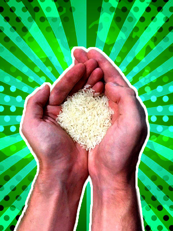 Обложка материала