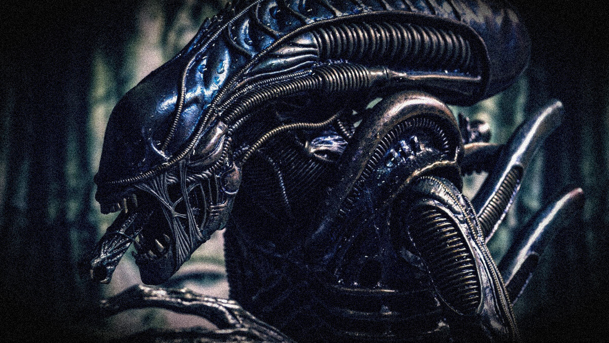 Красавец-ксеноморф, "Чужой" по привычному