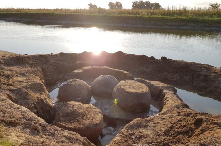 Фермер принял их за валуны, врытые в землю