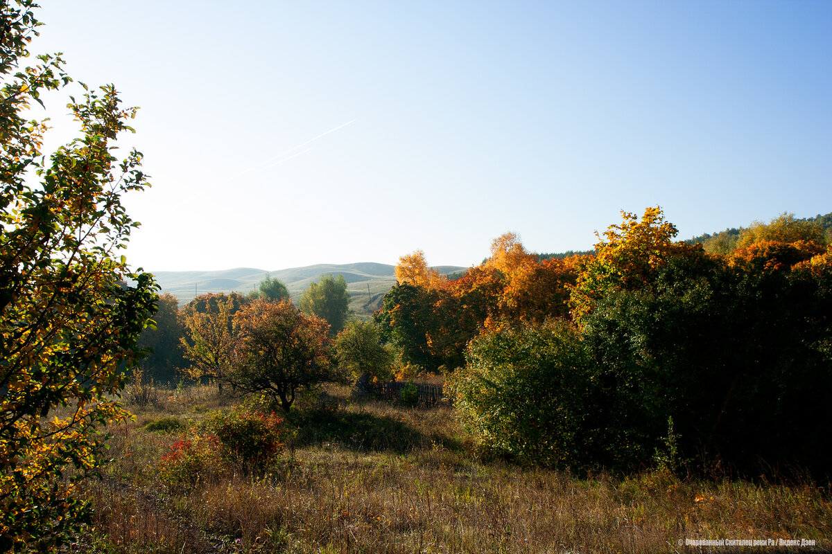 черемшаны-2 хвалынск. хвалынск санаторий черемшаны. санаторий родник хвалынск. хвалынск черемшаны. хвалынск черемшаны 2 санаторий.