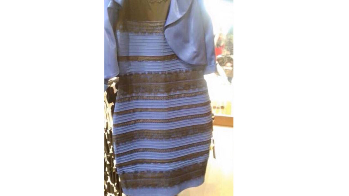 фото с сайта https://shazoo.ru