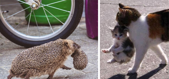 Источник: vk.com