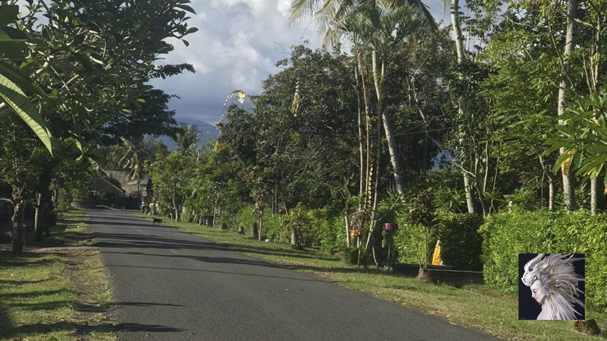 Подпишитесь на канал и поставьте лайк! Вы поможете развитию канала!