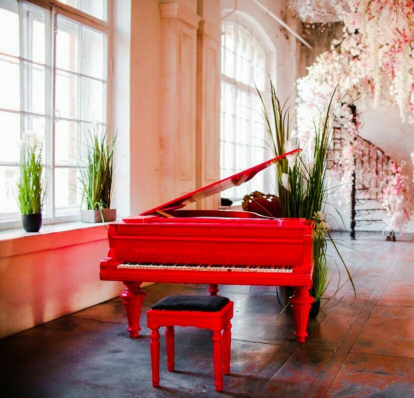 Какую музыку больше всего любите вы?