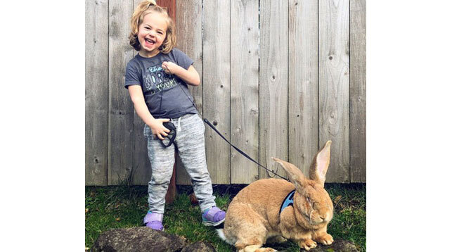 Фото с аккаунта instagram  @big_cocoa_puff