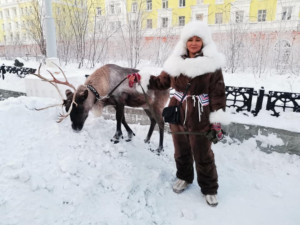 Олененок гуляет на поводке.