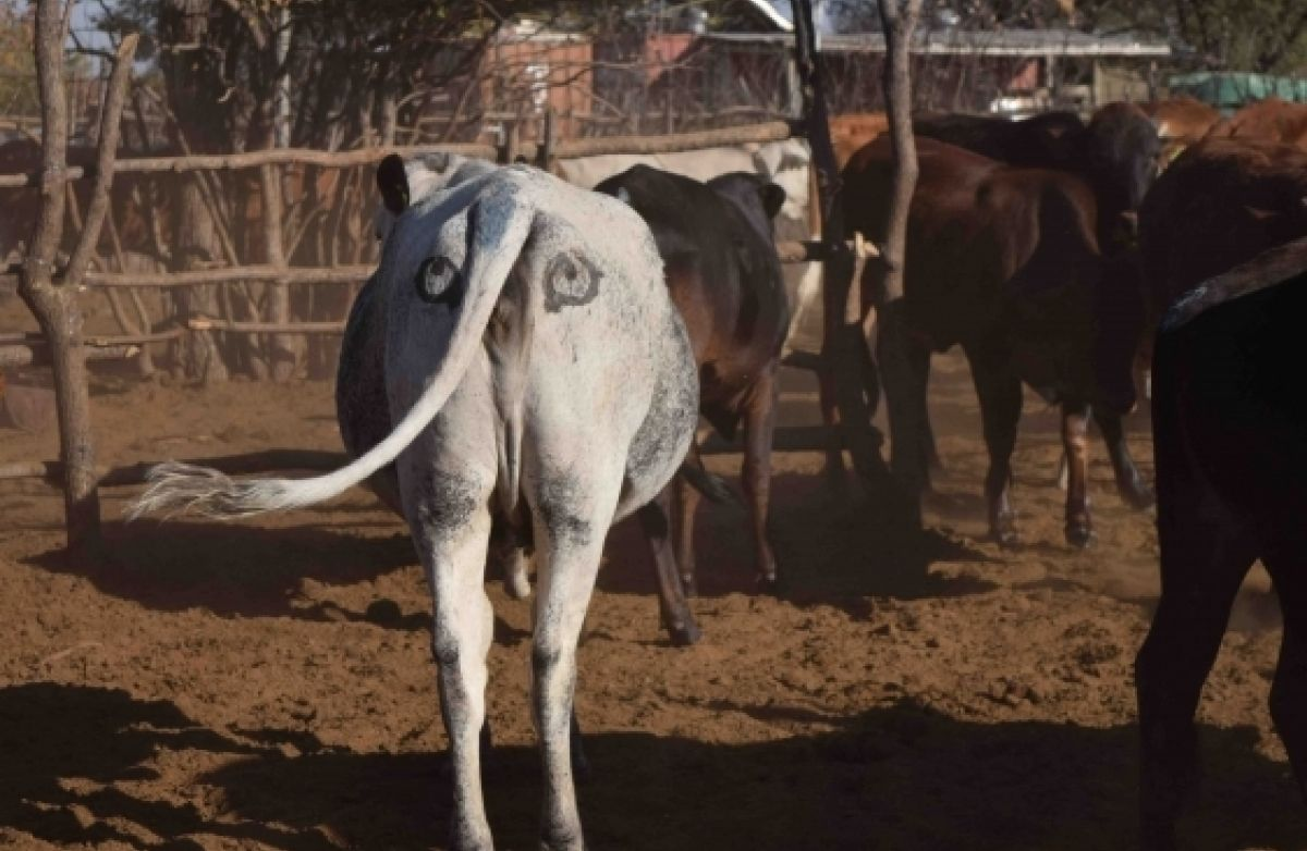 Ох уж эти глаза напротив...