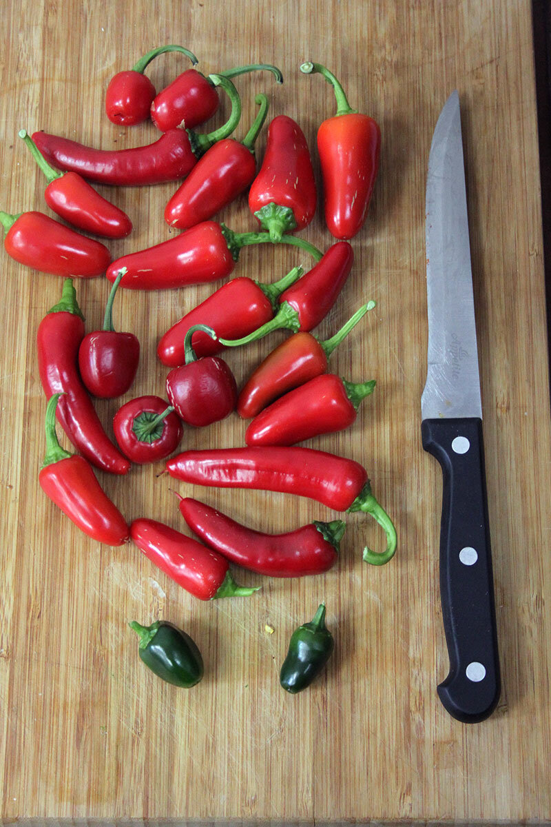 Урожай перцев на обед :)