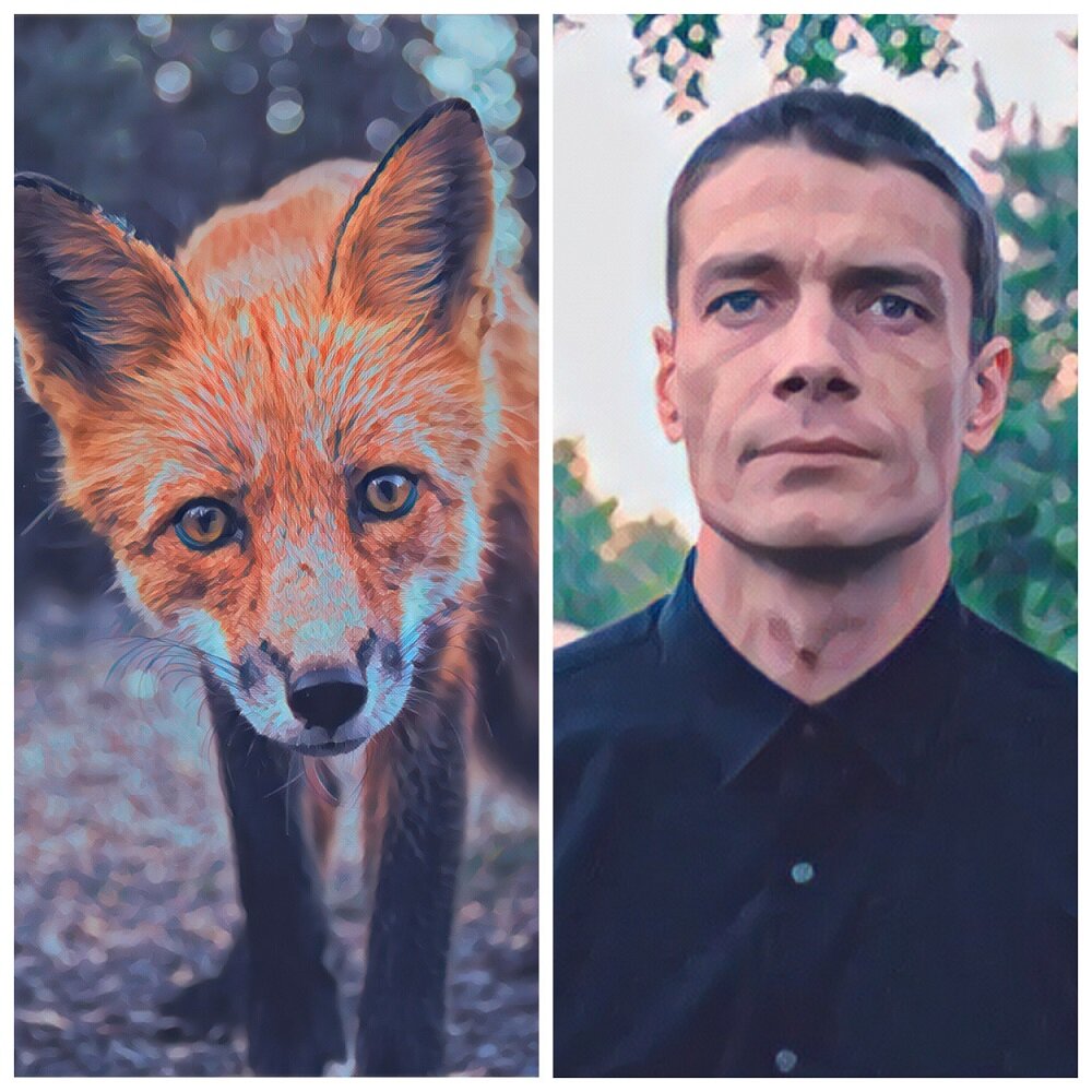 Динамику архетипу лисы создают сложные, запутанные дела.