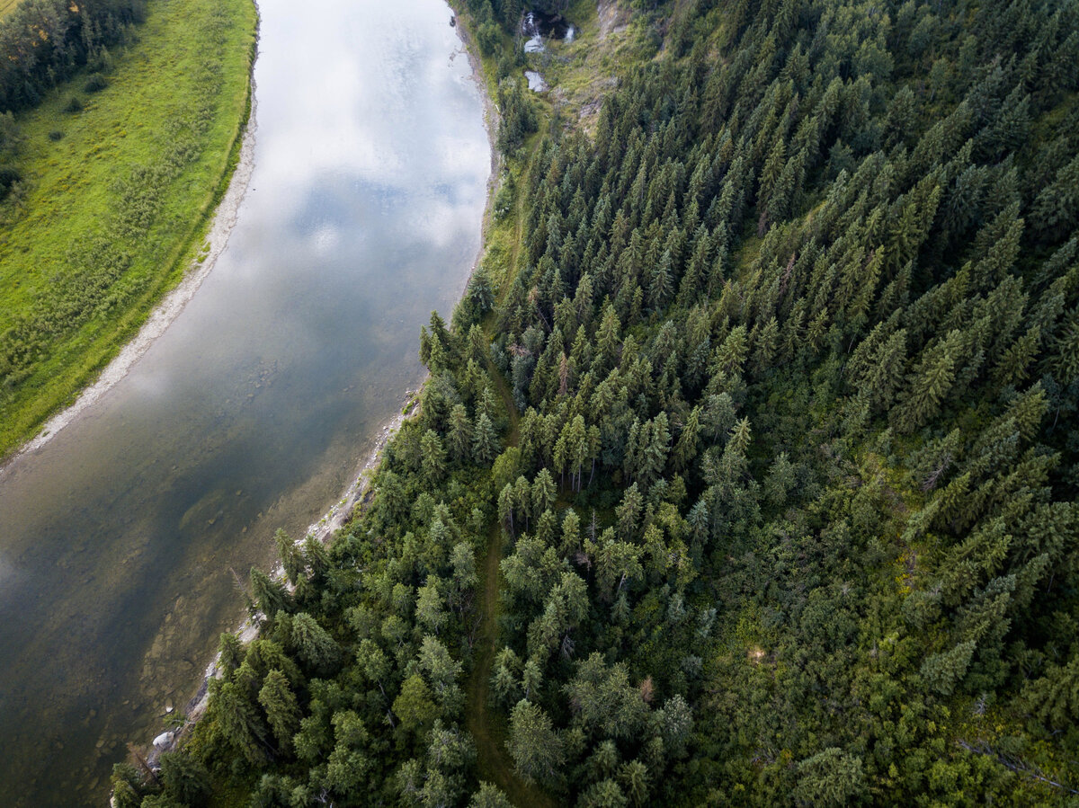 Источник Unsplash