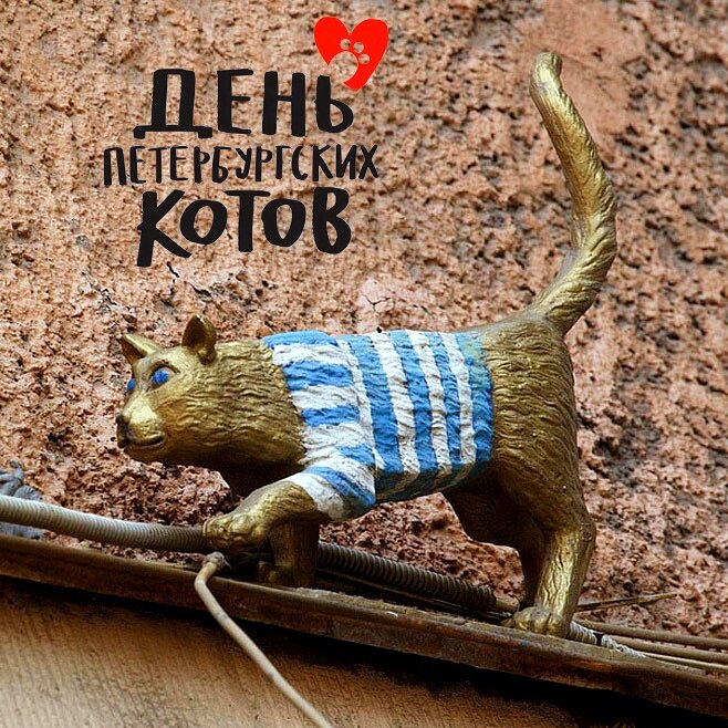 Всемирный день петербургских котов и кошек - это еще и день рождения первого в России (и в Европе!) котокафе