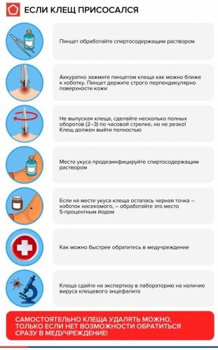 Памятка: Роскачество